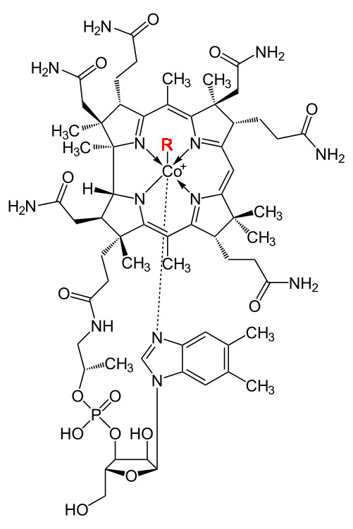 cobalamine.png